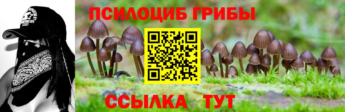 Галлюциногенные грибы прущие грибы  Вход с VPN  Югорск 